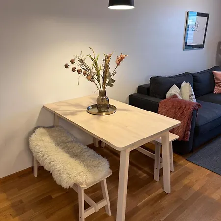 Apartment Arctic Nest - Cozy 40m2 And Parking In